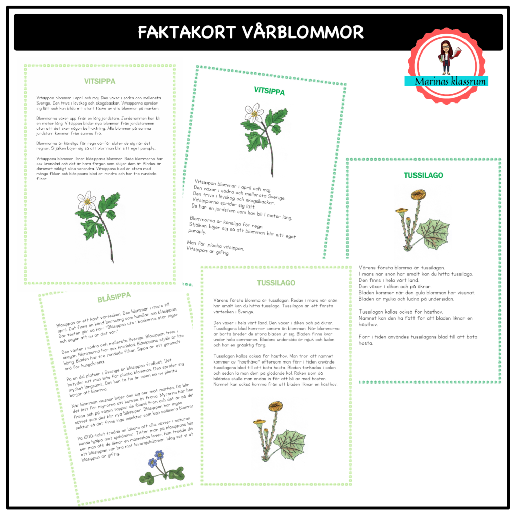 Faktakort om vårblommor