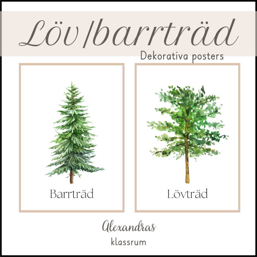 Lövträd/Barrträd – Dekorativa posters
