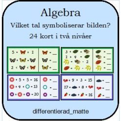 Algebra, obekanta tal - 24 kort