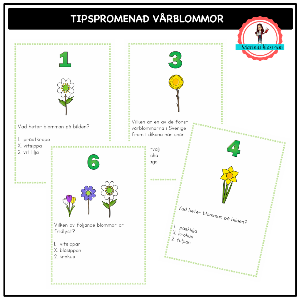 Tipspromenad vårblommor