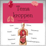 Tema kroppen – organ och sinnen (faktablad) - bild 1