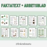 Abrahamitiska religionerna helt arbetsområde (3 texthäften med frågor/uppgifter + begreppskort + instuderingsfrågor + 2 prov) - bild 8