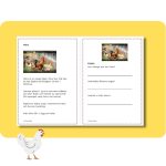 Bondgårdsdjur (höns, får, getter) - bild 2