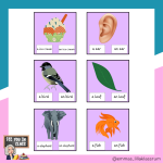 Nypkort – engelska ”a eller an” - bild 2