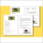 Bondgårdsdjur (Häst, ko, gris och katt) - bild 2