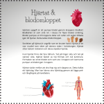 Tema kroppen – organ och sinnen (faktablad) - bild 2