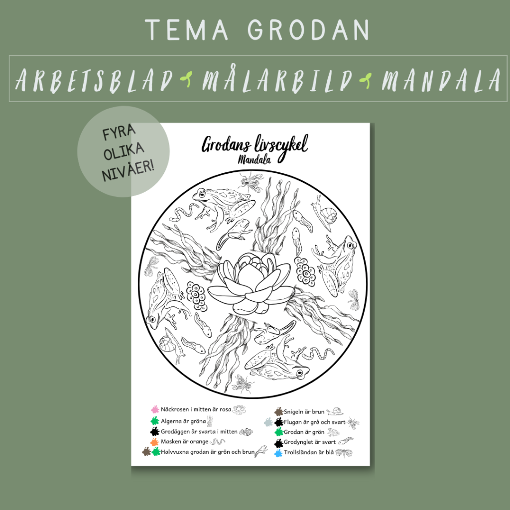 Grodans livscykel mandala