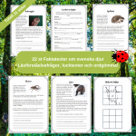 Faktatexter NO djur i Sverige läsförståelse - bild 1