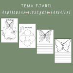 Fjärilens livscykel - bild 2