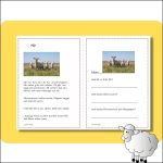 Bondgårdsdjur (höns, får, getter) - bild 3