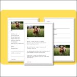 Bondgårdsdjur (Häst, ko, gris och katt) - bild 3