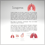 Tema kroppen – organ och sinnen (faktablad) - bild 3