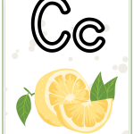 Väggalfabet- två versioner (med och utan hjälplinjer) - bild 4