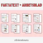 Vikingatiden – faktatext och arbetshäfte - bild 2