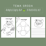 Grodans livscykel - bild 2