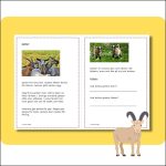 Bondgårdsdjur (höns, får, getter) - bild 4