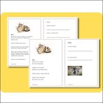 Bondgårdsdjur (Häst, ko, gris och katt) - bild 4