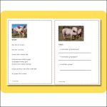 Bondgårdsdjur (Häst, ko, gris och katt) - bild 7