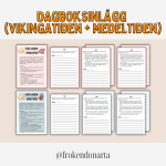 Kära dagbok – vikingatiden/medeltiden - bild 2