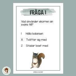 Tipspromenad - Tema djur i Norden