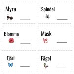 Naturdetektiv med hjälp av sommaruppdrag/bingo - bild 3