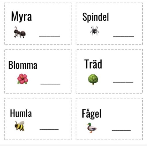 Naturdetektiv med hjälp av sommaruppdrag/bingo
