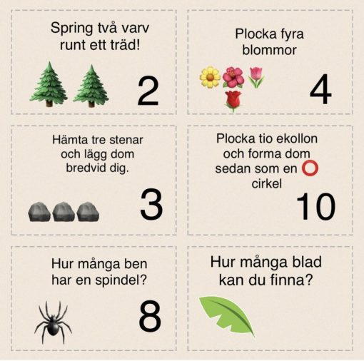 Naturuppdragskort -42kort/paket