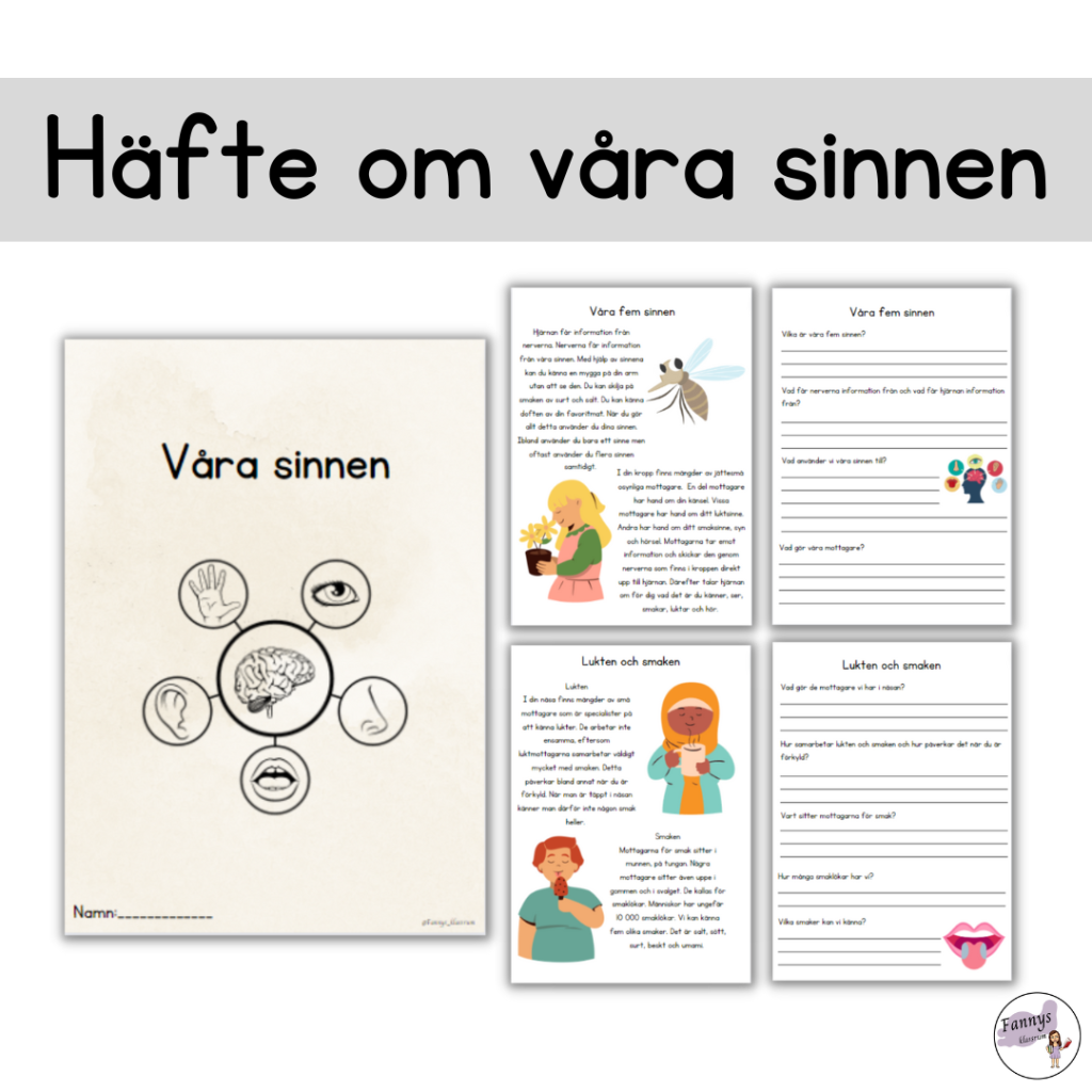 Häfte om våra sinnen