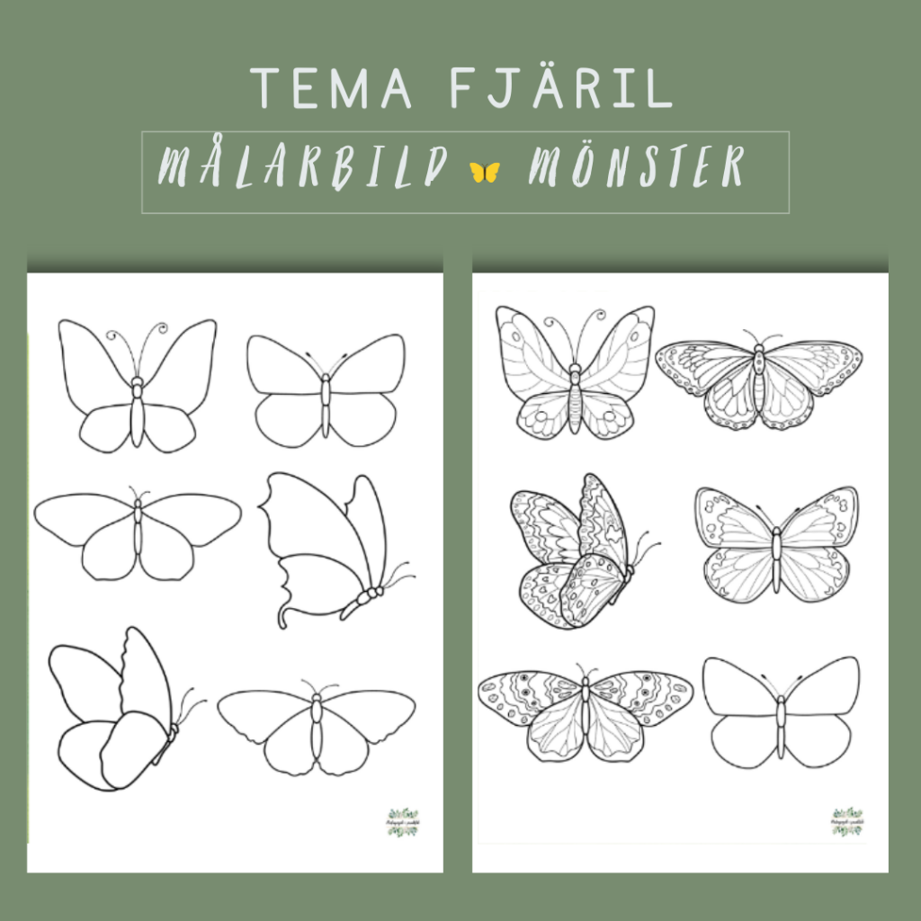 Fjärilens mönster målarbild