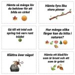 Naturuppdragskort -42kort/paket - bild 5