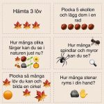 Naturuppdragskort -42kort/paket - bild 2