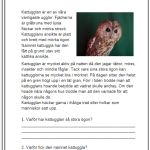 Faktatexter NO djur i Sverige läsförståelse - bild 3