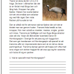 Faktatexter NO djur i Sverige läsförståelse del 2 - bild 8