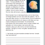 Faktatexter NO djur i Sverige läsförståelse del 2 - bild 10