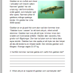 Faktatexter NO djur i Sverige läsförståelse del 2 - bild 12
