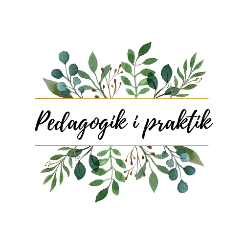 Pedagogik i Praktik