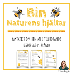 Bin - Naturens hjältar