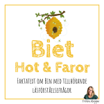 Biet – Hot och Faror - bild 1