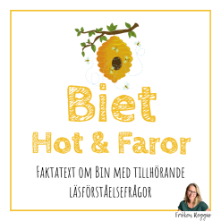 Biet - Hot och Faror