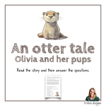 An otter tale – Reading Comprehension - bild 1