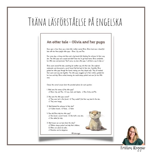 An otter tale - Reading Comprehension