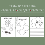 Nyckelpigans livscykel - bild 2