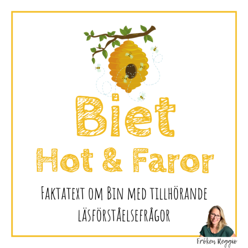 Stort paket om Bin