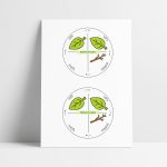 Fjärilens livscykel - bild 1