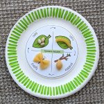 Fjärilens livscykel - bild 2