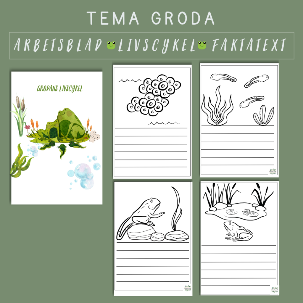 Grodans livscykel egen faktatext