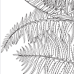 27 bokmärken att färglägga - bild 8