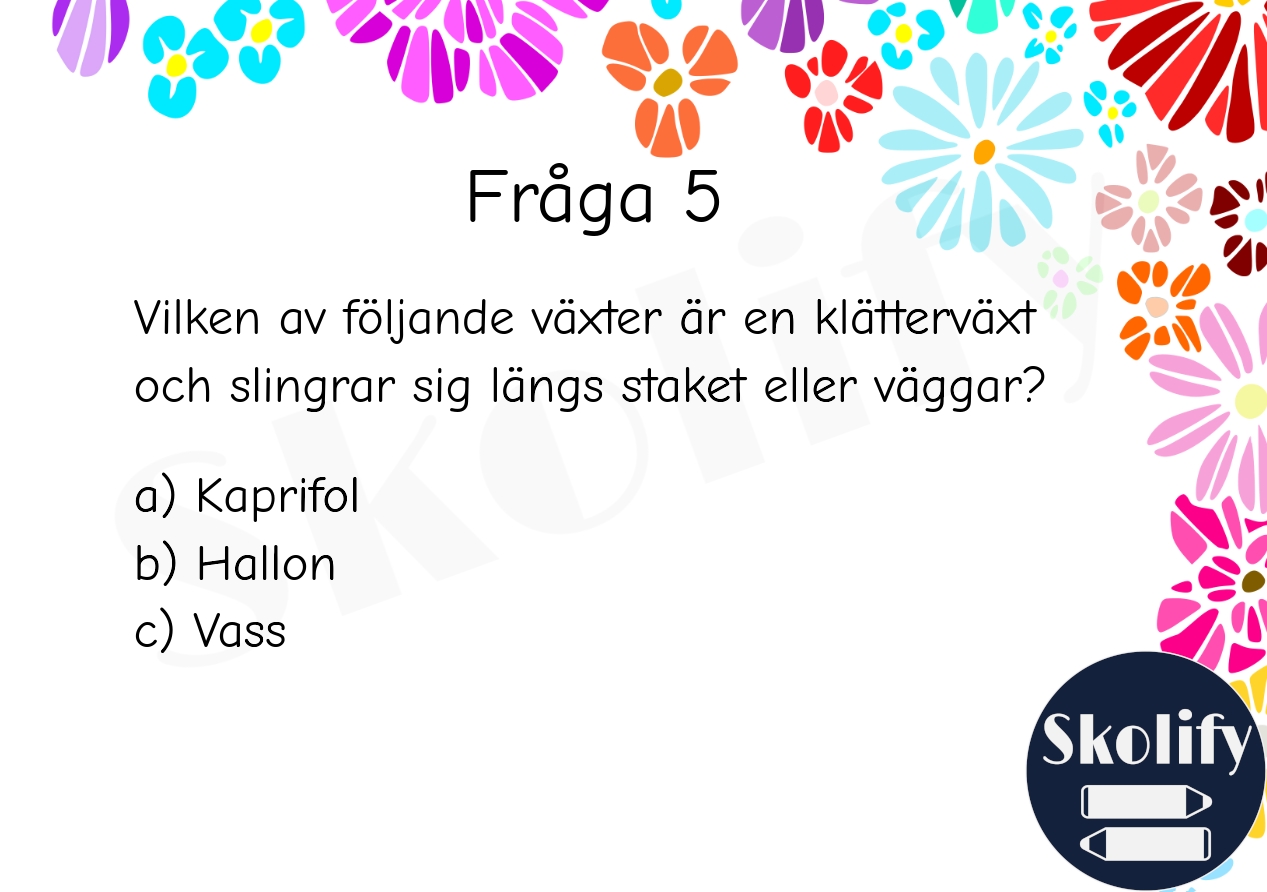 Tipspromenad - Sommartema, Växter - A5