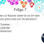 Tipspromenad – Sommartema, Växter – A5 - bild 3