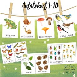 Antalskort 1-10